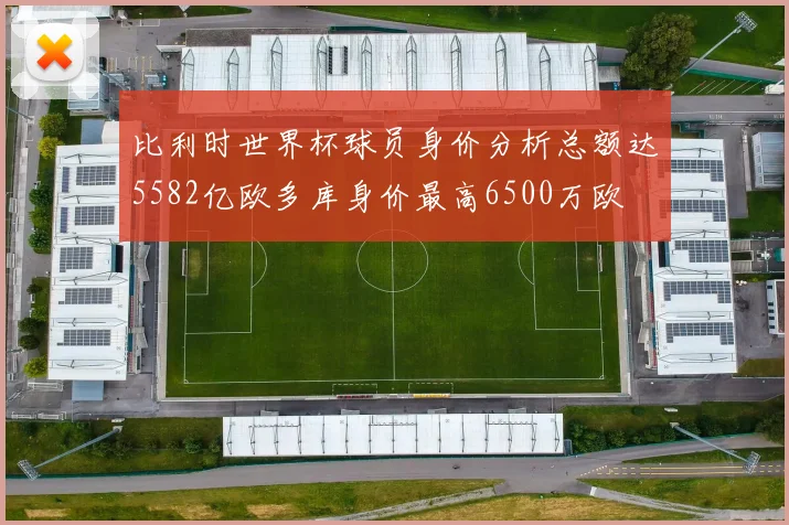 比利时世界杯球员身价分析总额达5582亿欧多库身价最高6500万欧
